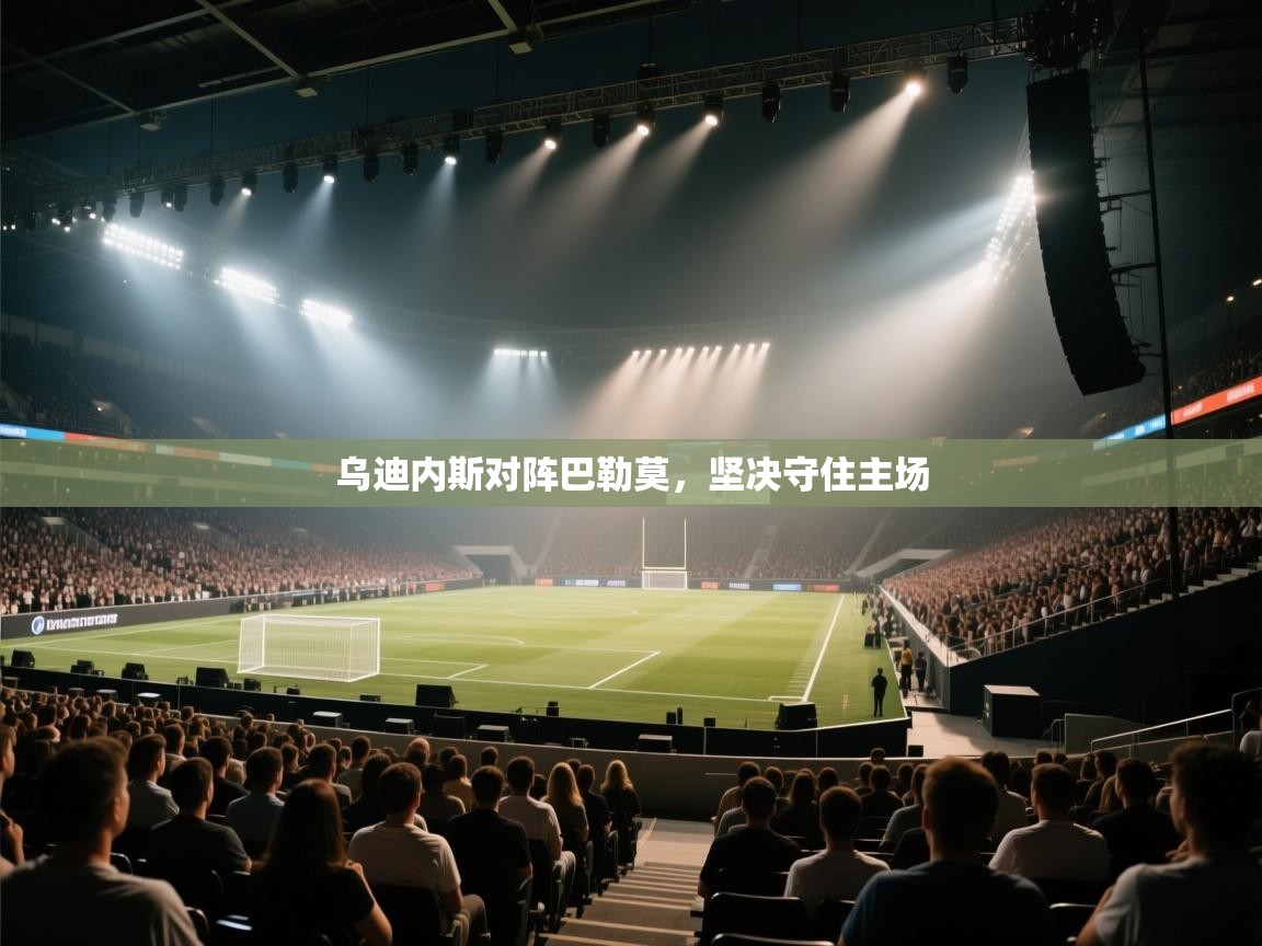 乌迪内斯对阵巴勒莫，坚决守住主场